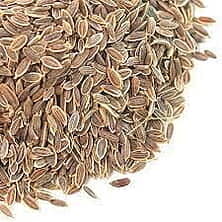 Dill - Anethum Graveolens L.